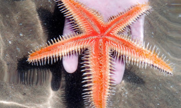 Children exploring marine life concepts in The Learning Lab’s Exploring the Deep Sea science programme.