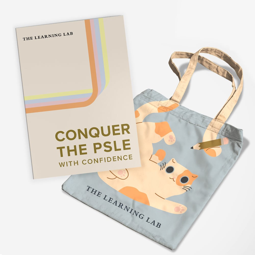 PSLE-Seminar-Merch-1