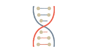 Image-Content_SM-Parent-Workshop_Science-02