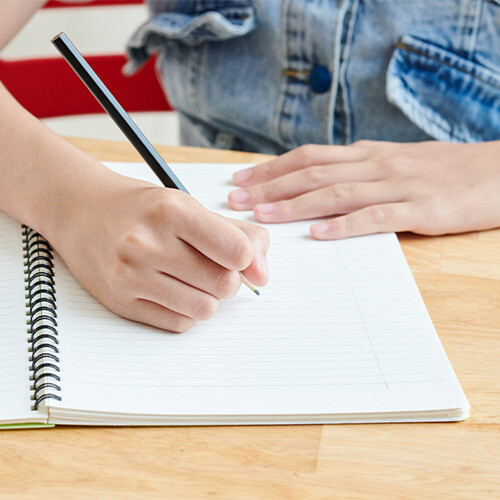 Image-PSLE-Seminar-2025-English-LP